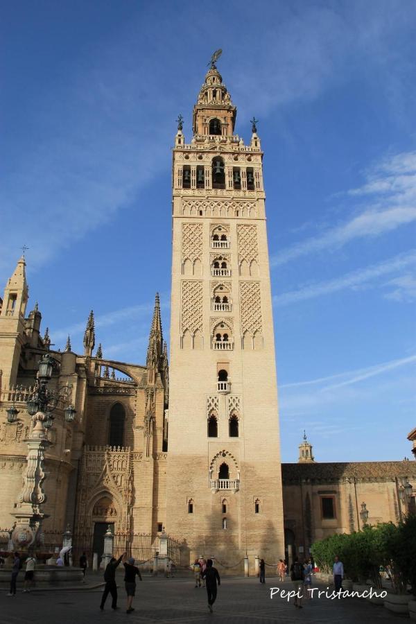 Suites Las Setas & Bicicletas Electricas Gratis Sevilla Eksteriør bilde