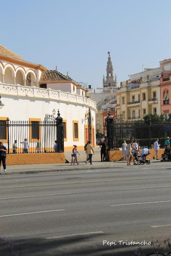 Suites Las Setas & Bicicletas Electricas Gratis Sevilla Eksteriør bilde